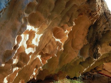 Hazar Denizi kıyısındaki kayalar. Kayalarda büyüyen otlar.