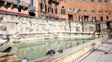 Gaia çeşme Piazza del Campo, Siena, Toskana, İtalya