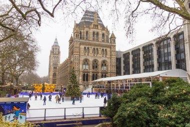 Doğal Tarih Müzesi, Londra, İngiltere tarafından Noel buz pateni pisti insanlarda
