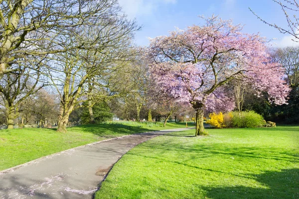 Stanley Park, Liverpool, Anglia, Egyesült Királyság — Stock Fotó