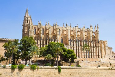 Della Palma ve Parc del Mar, Majorca, İspanya Katedrali