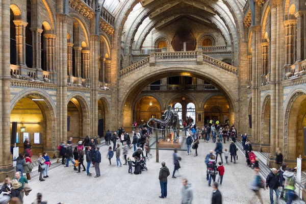 London England December 2016 Människor Som Vandrar Natural History Museum — Stockfoto