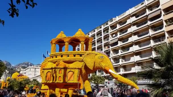 Menton France February 2018 Art Made Lemons Oranges Famous Lemon — Stock Video