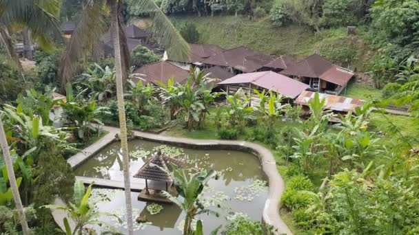 Trädgård Pura Goa Gajah Bali Indonesien — Stockvideo