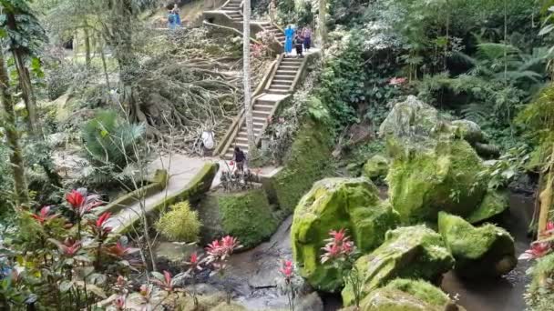 Bali Indonesia June 2019 People Walking Garden Pura Goa Gajah — Stock Video