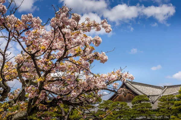 Замок Нидзё в Киото, Япония — стоковое фото