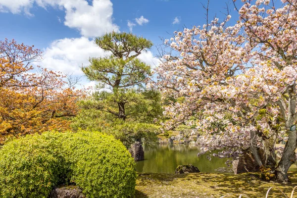 Zahrada na hradě Nijo, Kjóto, Japonsko — Stock fotografie