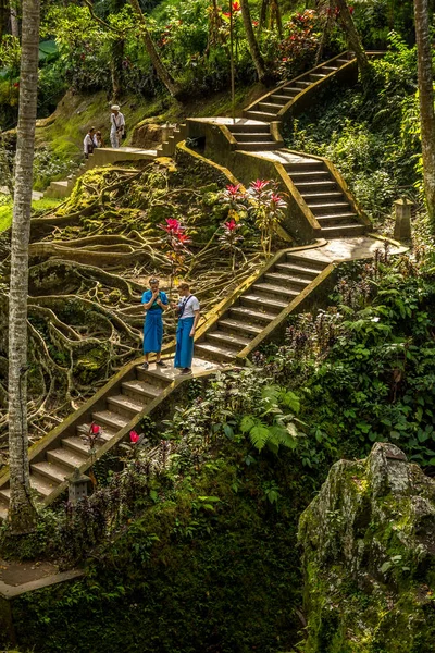 Lidé procházky v zahradě v Pura Goa Gajah, Bali, Indonésie — Stock fotografie
