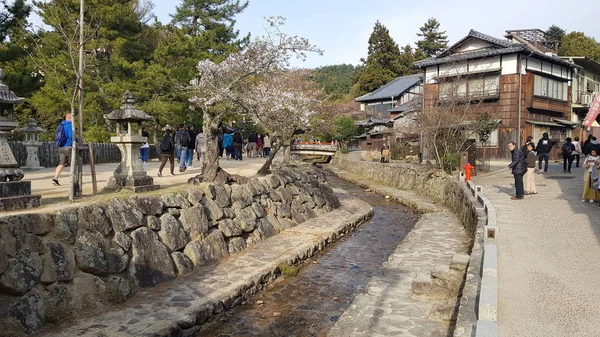 Insel Miyajima Japan April 2019 Menschen Spazieren Frühling Einem Kanal — Stockfoto