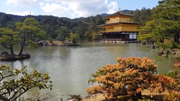 Ναός Kinkakuji Χρυσό Περίπτερο Στο Κιότο Ιαπωνία — Αρχείο Βίντεο