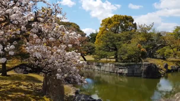 Trädgård Nijo Slott Kyoto Japan — Stockvideo