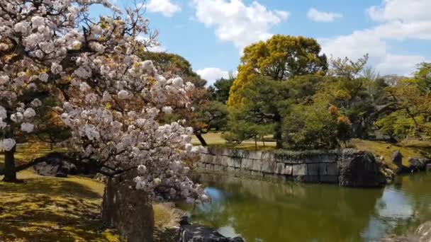 Jardín Castillo Nijo Kioto Japón — Vídeo de stock