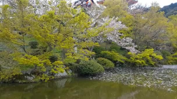 Kioto Japón Abril 2019 Vista Del Jardín Templo Kiyomizu Dera — Vídeo de stock