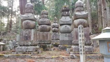 Koyasan'da manzara, Koya Dağı, Japonya