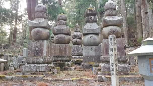 Krajobraz Koyasan Mount Koya Japan — Wideo stockowe