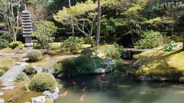 Japanse Tuin Met Vijver — Stockvideo