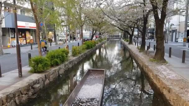 Kyoto Japan April 2019 Menschen Spazieren Frühling Einem Kanal Der — Stockvideo