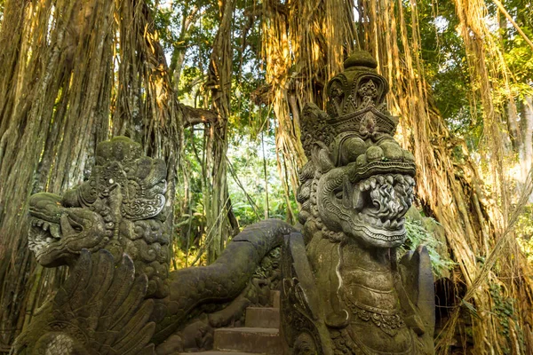 Krajobraz w lesie małp na Bali, Indonezja — Zdjęcie stockowe