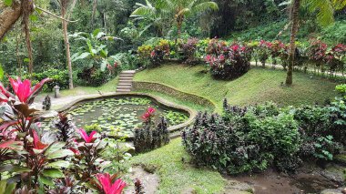 Pura Goa Gajah, Bali, Endonezya 'daki bahçe