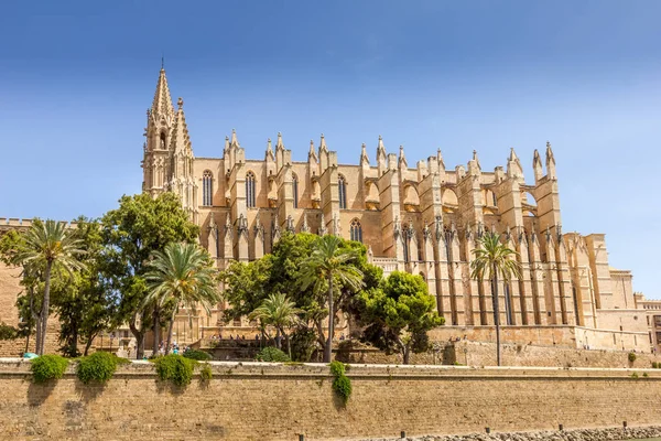 Katedrális Santa Maria Palma Parc Del Mar Mallorca Spanyolország — Stock Fotó