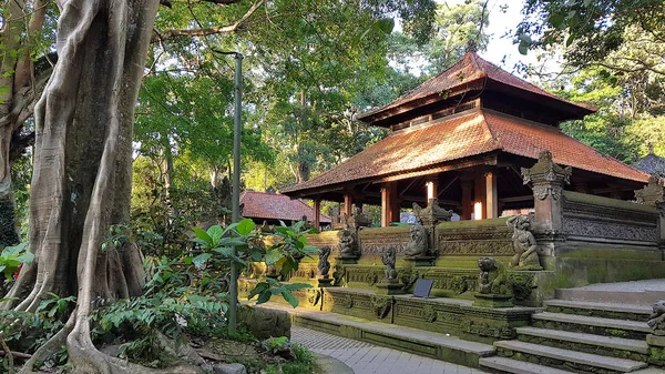 Paysage Dans Forêt Singes Bali Indonésie — Photo