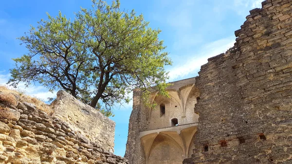 Castelo Chateauneuf Pape Sudeste França — Fotografia de Stock