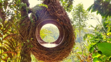 Bali, Endonezya'da bir ormanda büyük sonraki