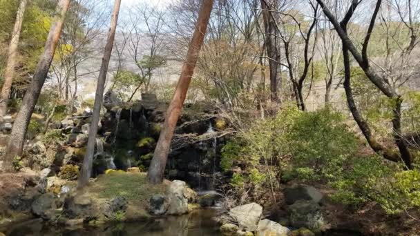 Floresta Com Rio Uma Cachoeira Japão — Vídeo de Stock
