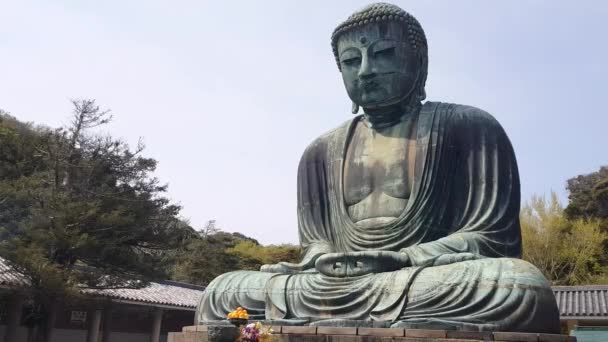 Великий Будда Дайбуцу Ктоку Камакура Префектура Канагава Япония — стоковое видео
