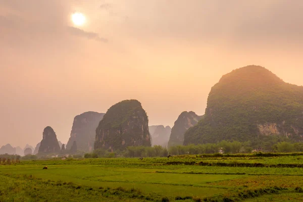 Τυπική Φυτεία Ρυζιού Στο Yangshuo Guilin Κίνα — Φωτογραφία Αρχείου