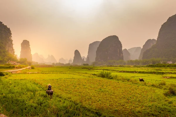 Τυπική Φυτεία Ρυζιού Στο Yangshuo Guilin Κίνα — Φωτογραφία Αρχείου