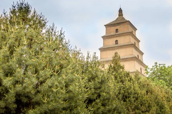 Big Wild Goose Pagoda Ian China — Stock Photo, Image