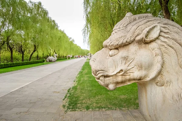 Eläinten Katu Peking Kiina Alueella Hautoja Useimmilta Ming Dynastian Keisareilta — kuvapankkivalokuva