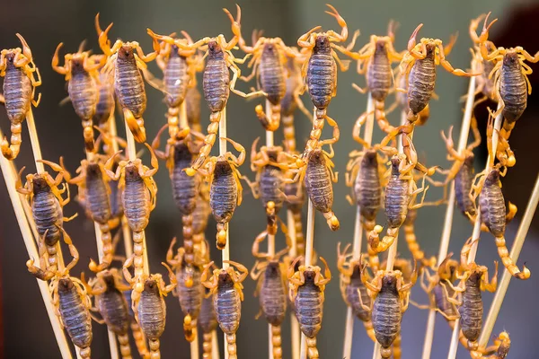 Skorpiony Patykach Chinach — Zdjęcie stockowe