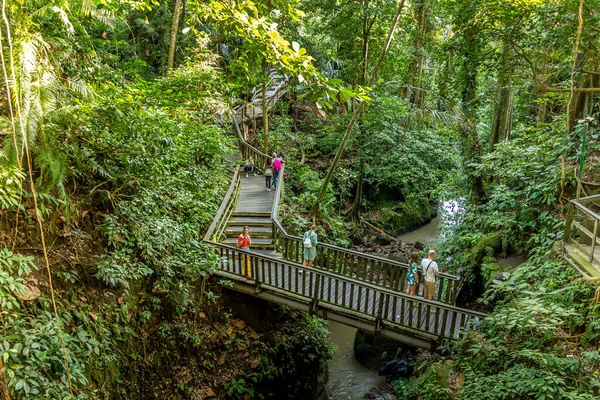 Bali Indonesia June 2019 People Walking Monkey Forest Ubud More — Stock Photo, Image