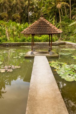 Pura Goa Gajah, Bali, Endonezya 'daki bahçe