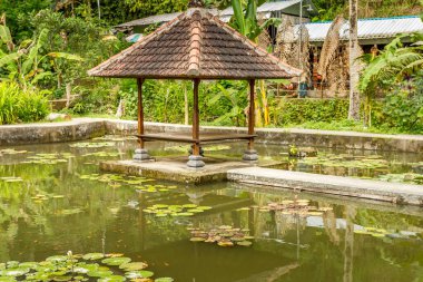 Pura Goa Gajah, Bali, Endonezya 'daki bahçe