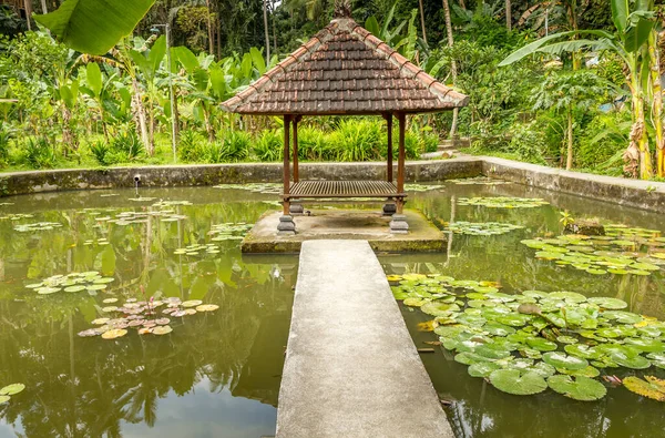 Jardín Pura Goa Gajah Bali Indonesia —  Fotos de Stock