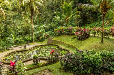 Pura Goa Gajah, Bali, Endonezya 'daki bahçe