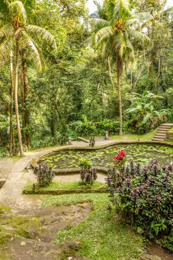 Pura Goa Gajah, Bali, Endonezya 'daki bahçe