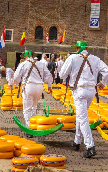 荷兰阿尔卡马 Alkmaar 2012年9月7日 在著名的荷兰奶酪市场上携带许多奶酪的承运人 这事件发生在瓦格普林广场 — 图库照片