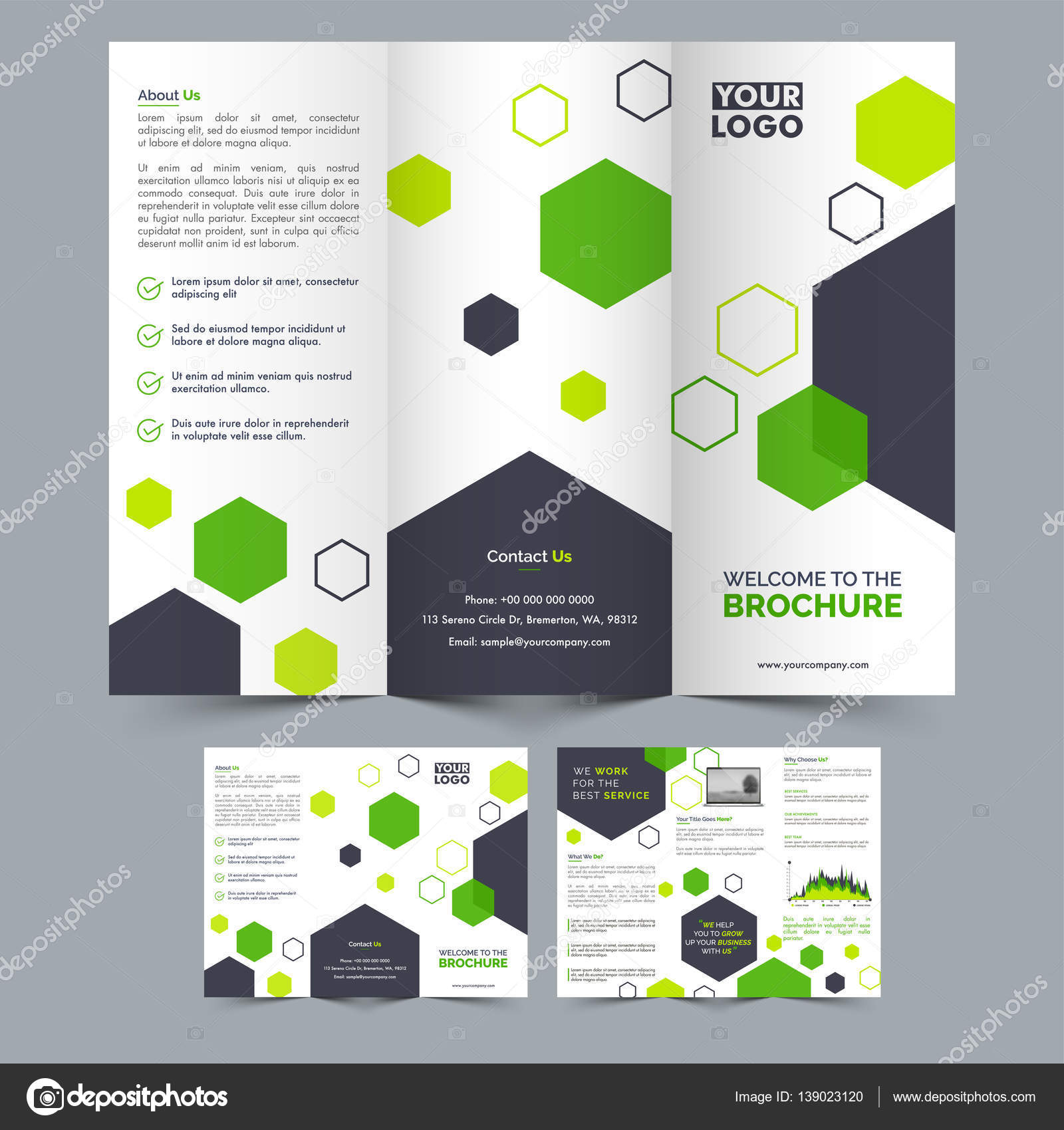 three fold brochure