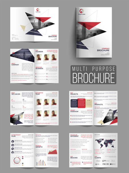 Professional Multi-Purpose Business Brochure Set.