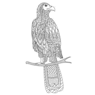 Elle çizilmiş doodle illüstrasyon papağan.