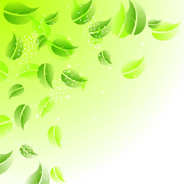 Zöld levelek háttér természet koncepció. — Stock Vector