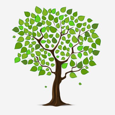 Yeşil yapraklı ağaç.