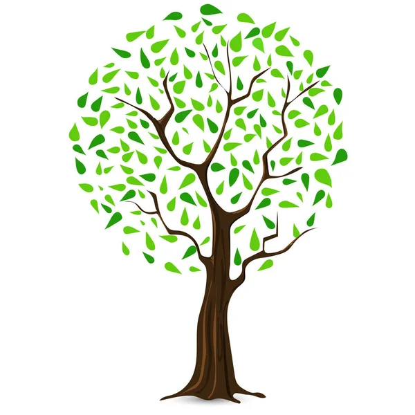 Yeşil yaprakları ile güzel ağaç.