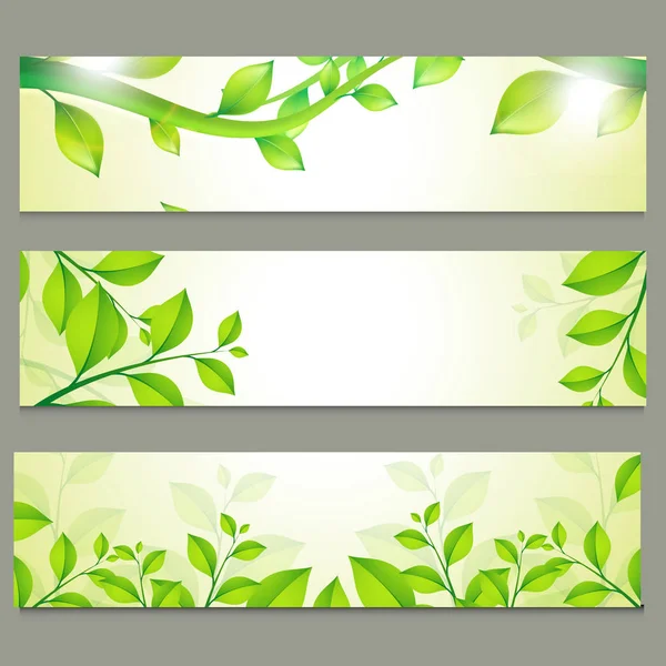 Ecological website headers with green leaves. — Stock Vector