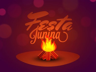 Festa Junina, Tatil Geçmişi.