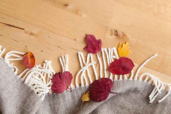 Warm wool throw autumn red leaves on wooden background — Stock Photo, Image